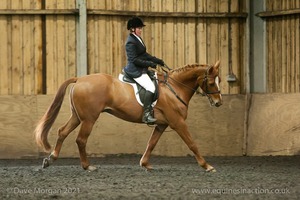 Isis Dressage Crown Farm Show 29th April 2012